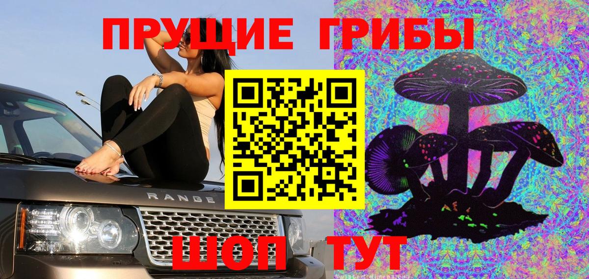 Псилоцибиновые грибы мухоморы Геленджик