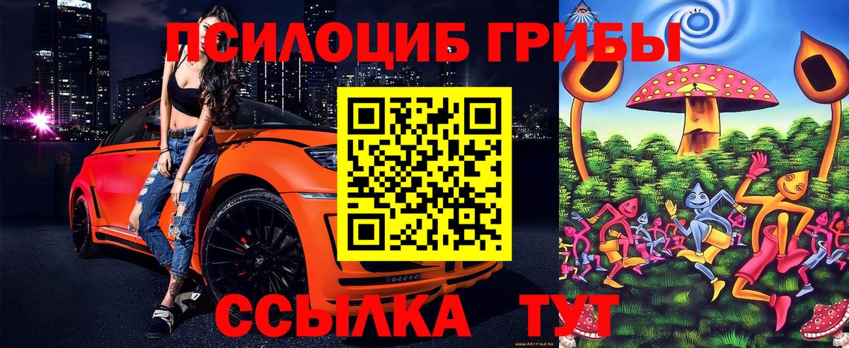 Геленджик  Псилоцибиновые грибы мицелий  Вход с VPN 