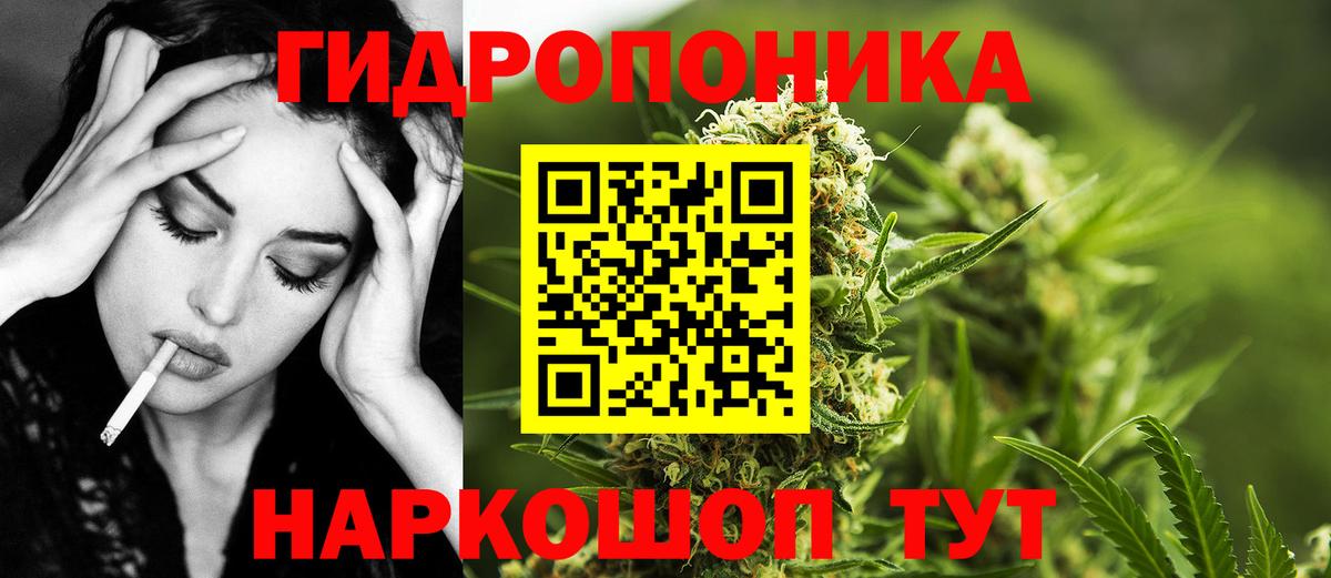 Бошки Шишки SATIVA & INDICA  Бошки Шишки AK-47  Геленджик  Конопля семена  Шишки марихуана Bruce Banner  Вход с VPN 